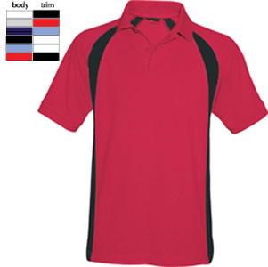 2243525 Embroidered Polo Shirt