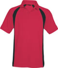 2243525 Embroidered Polo Shirt 