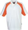 Embroidered Polo Shirt 200-220 gsm - 73L