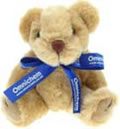 JBB Promotional Teddy Bear