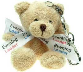 Cheap Teddy Bears on Cheap Teddy Bears  Personalised Teddy Bears  Teddy Bears