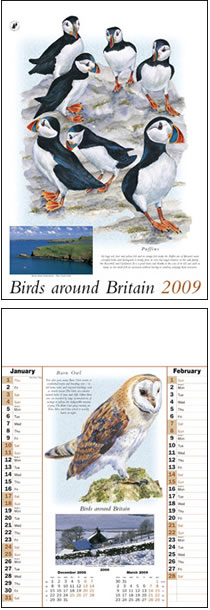 Birds Around Britain Memo Wall Calendar