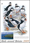 Birds Around Britain Memo Wall Calendar