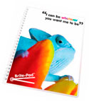 Click here to find out more about our Brite Pad