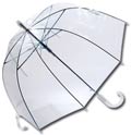 Clear Umbrella - Susino