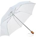 Folding Umbrella - Budget
