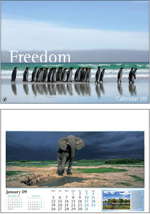 Freedom Wall Calendar