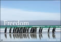 Freedom Wall Calendar