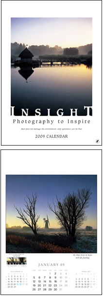 Insight Wall Calendar