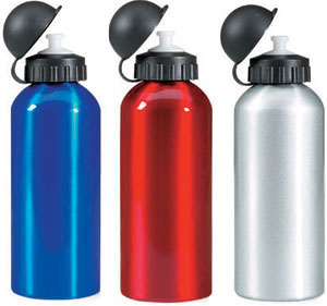 Metal Water Bottle - Biscing