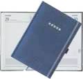 Academic Diaries