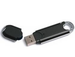 USB Flash Drive - Fender