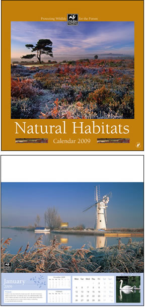 Natural Habitats Wall Calendar