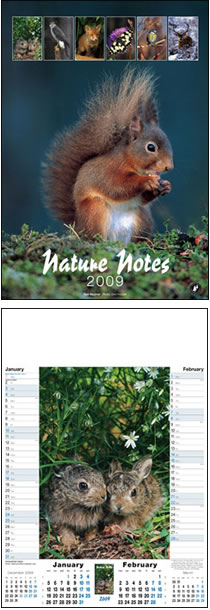 Nature Notes Memo Calendar