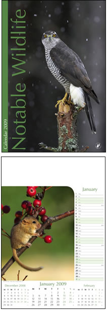 Notable Wildlife Memo Wall Calendar