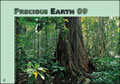 Precious Earth Wall Calendar