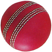 Cricket Ball Stress Ball