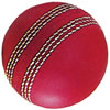 Promotional Cricket Ball Stress Ball
