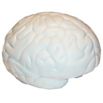 Promotional Brain Stress Toy