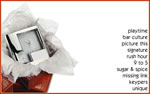 Silver Incentives Online Brochure