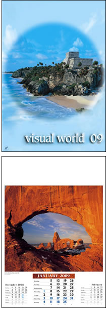 Visual World Wall Calendar