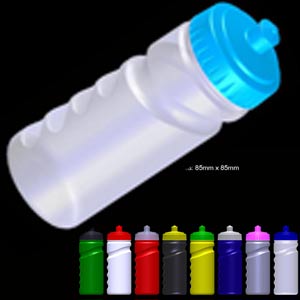 Drinks Bottles - 500ml