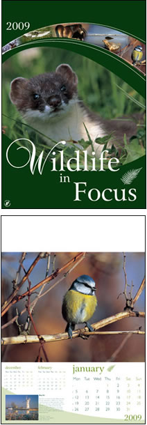 Wildlife in Focus Wall Calendar