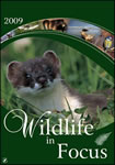 Wildlife in Focus Wall Calendar