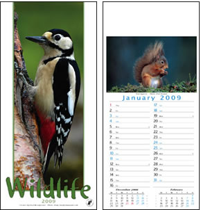 Wildlife Memo Wall Calendar