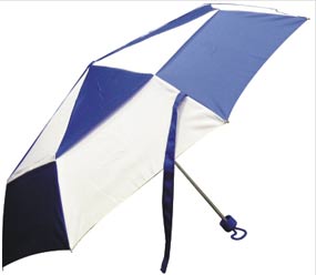 Windproof Umbrella