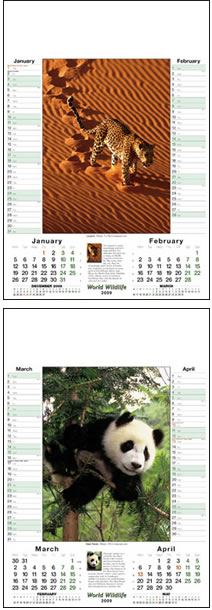 World Wildlife Memo Wall Calendar