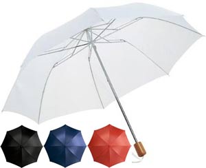 Folding Umbrella - Budget