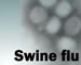 Swine Flu Protection Products